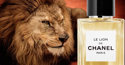 reviews of Chanel de lion